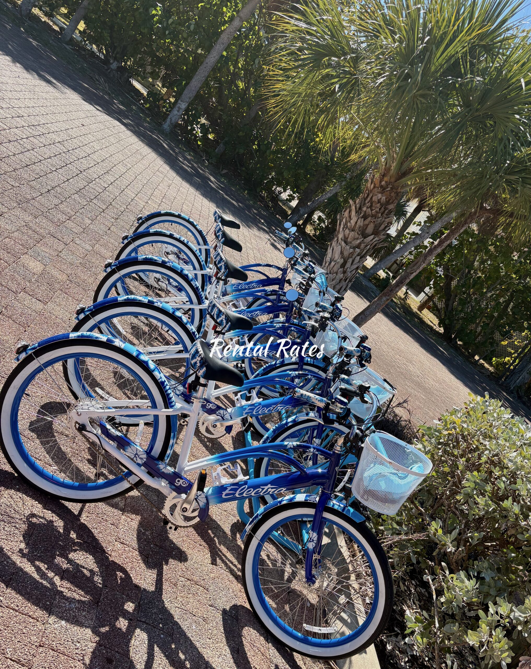 Island Breeze eBikes Fleet