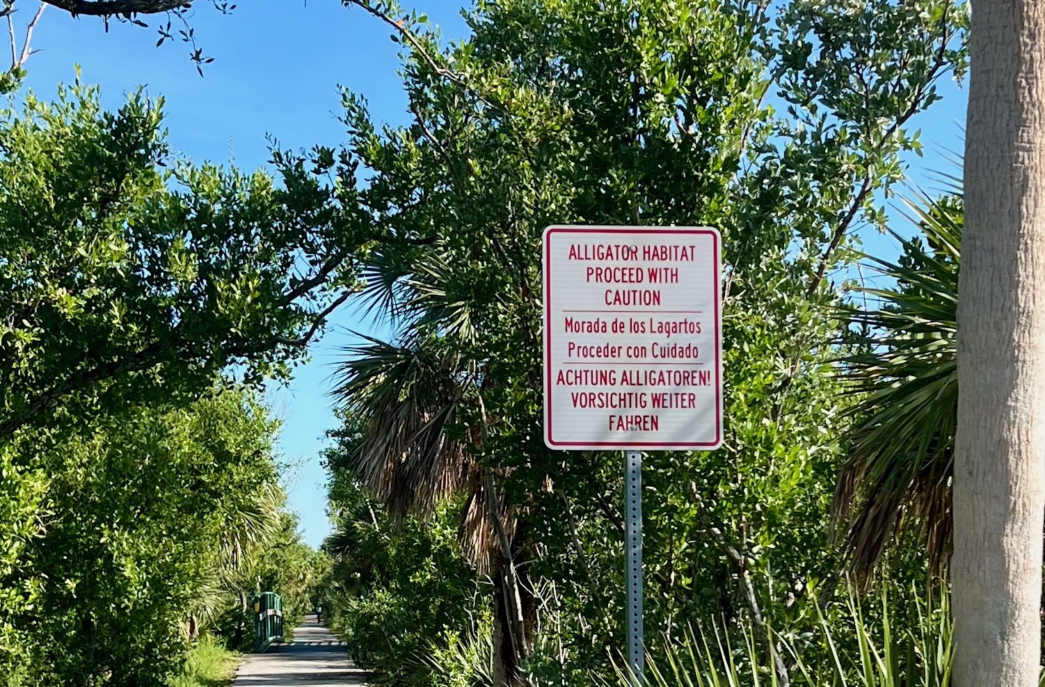 Alligator Habitat warning sign in English, Spanish and German on the Shared Use Path, Sanibel Island